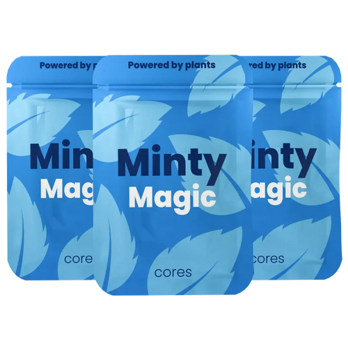 Xhale Minty Magic flavor cores — nicotine-free, plant-powered refill pack for the Xhale inhaler