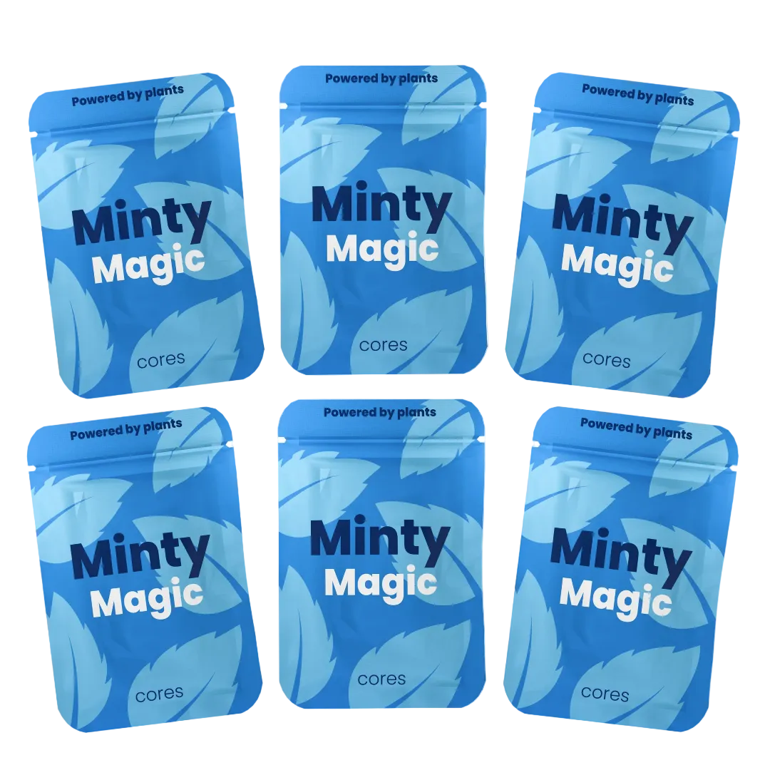 Xhale Minty Magic flavor cores 6-pack — nicotine-free refill for the Xhale inhaler