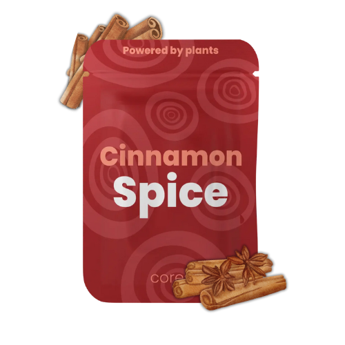 Cinnamon Spice Flavor Pack - Xhale